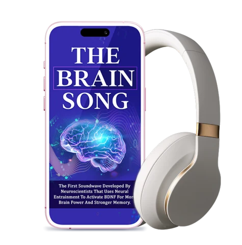 The Brain Song product image