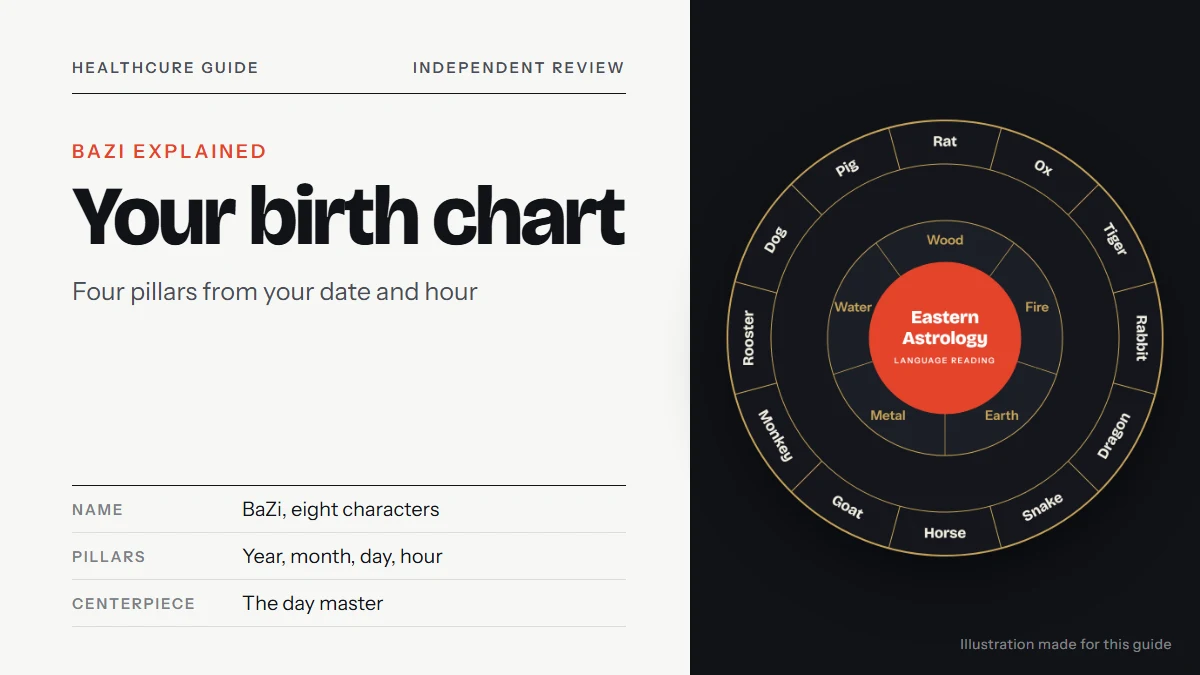 Eastern astrology birth chart: our own chart wheel illustration with the 12 zodiac animals and five elements